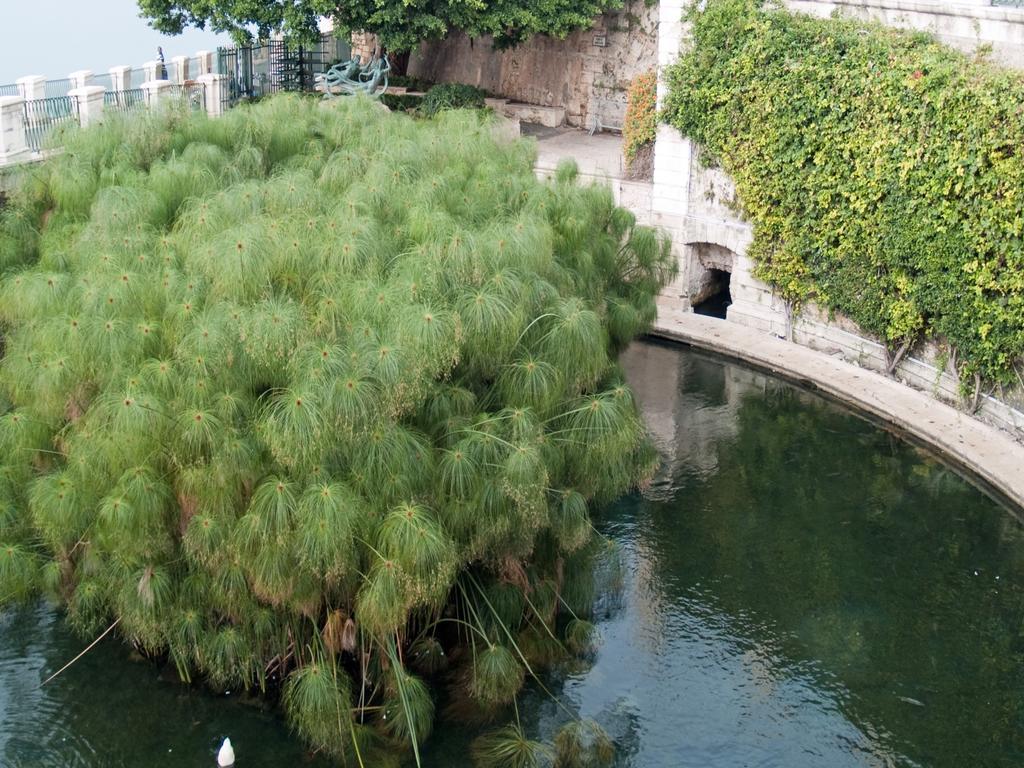 Rosa Di Ortigia Syracuse Exterior foto